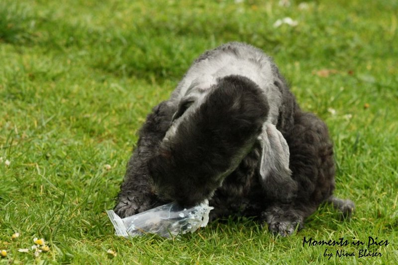 Antares 2009-07-12 (47).JPG